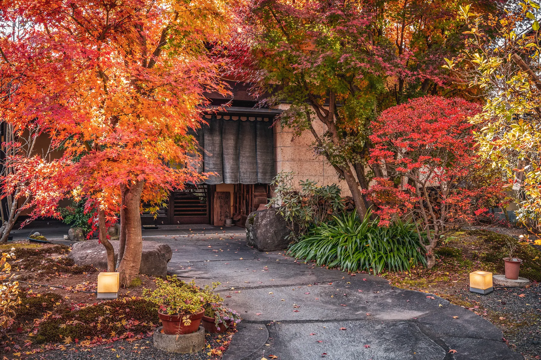 紅葉に包まれた旅館の玄関